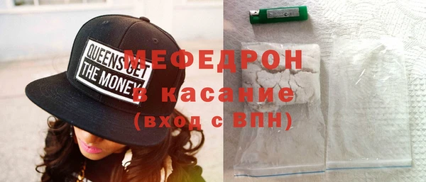 индика Медвежьегорск