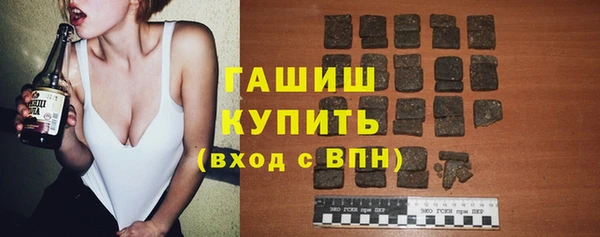 индика Мегион