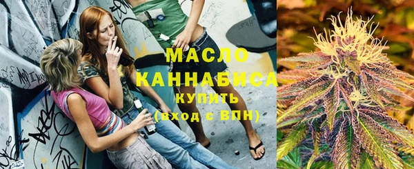 индика Медвежьегорск