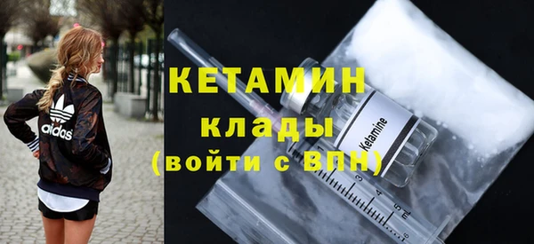 индика Медвежьегорск
