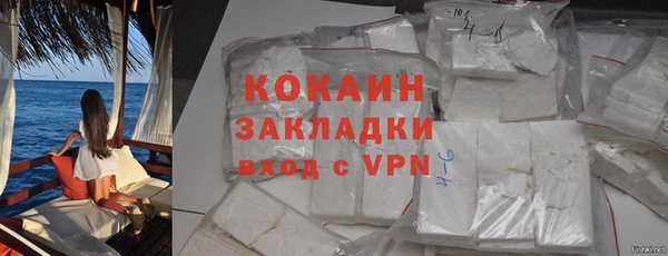 индика Мегион