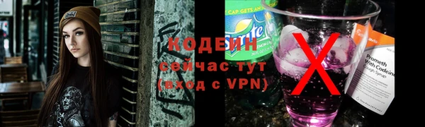 индика Мегион