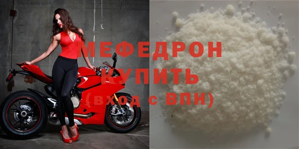 индика Медвежьегорск