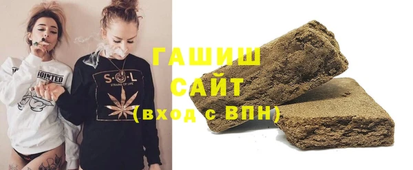 индика Мегион