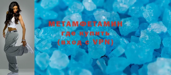 индика Мегион