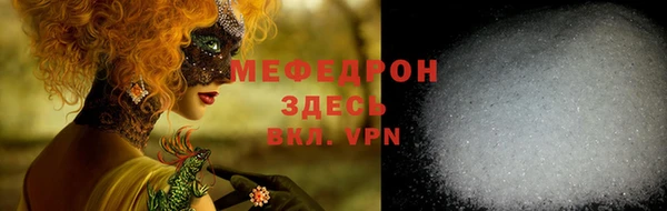 индика Медвежьегорск