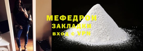 индика Медвежьегорск