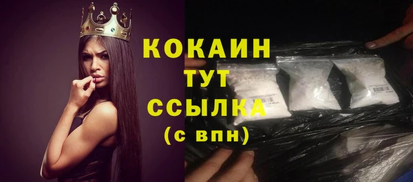 индика Мегион