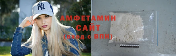 индика Мегион
