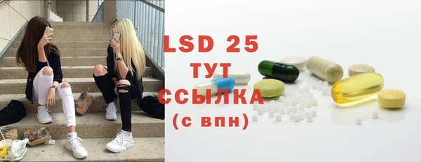 индика Мегион