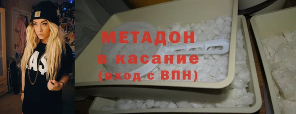 индика Медвежьегорск