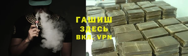 индика Медвежьегорск