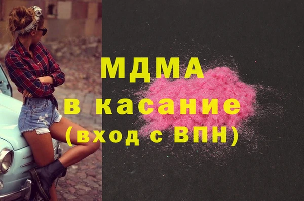 индика Медвежьегорск