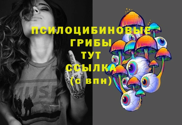 индика Медвежьегорск