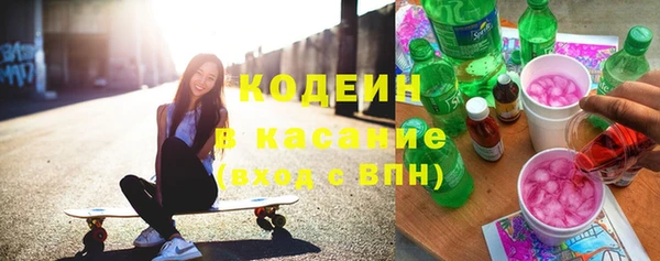 индика Медвежьегорск
