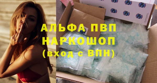 индика Мегион