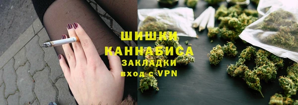 индика Мегион