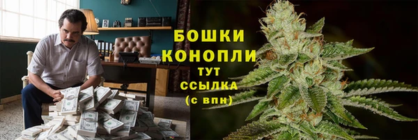 индика Медвежьегорск