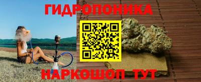 тгк Канаш