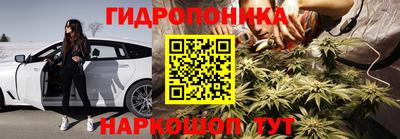 тгк Канаш