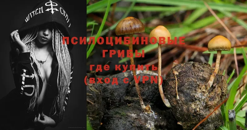 Галлюциногенные грибы Magic Shrooms  купить наркоту  Благовещенск 