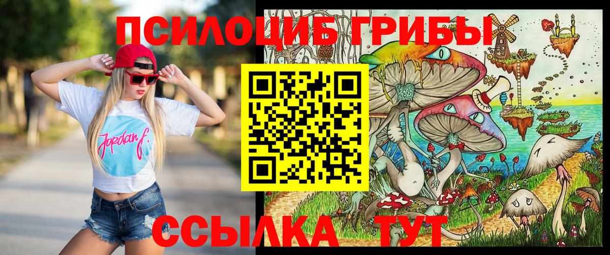 Псилоцибиновые грибы GOLDEN TEACHER Благовещенск
