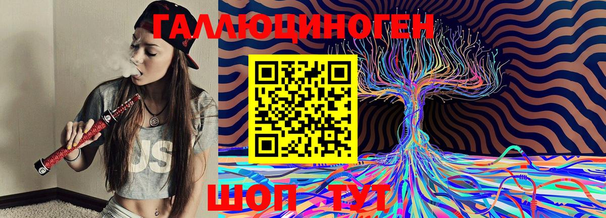 Псилоцибиновые грибы Psilocybe  Вход с VPN  Благовещенск 