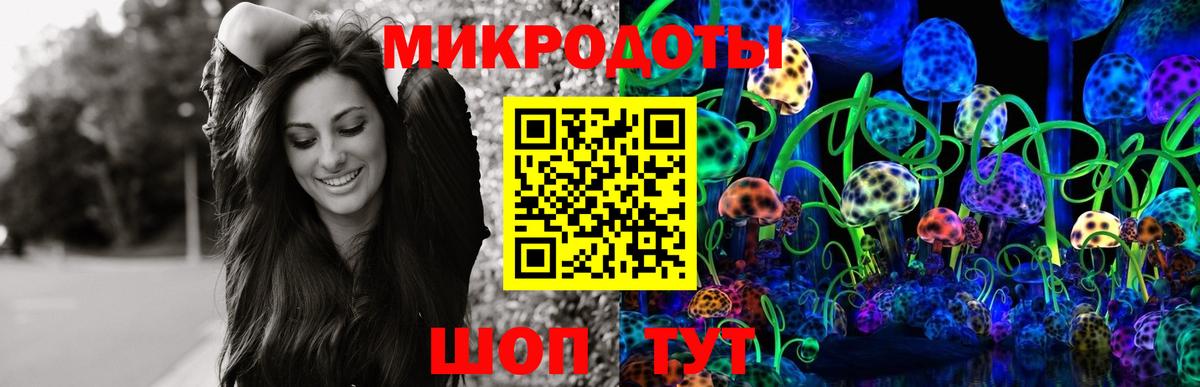 Галлюциногенные грибы Psilocybine cubensis  Псилоцибиновые грибы мицелий  закладка  Благовещенск 