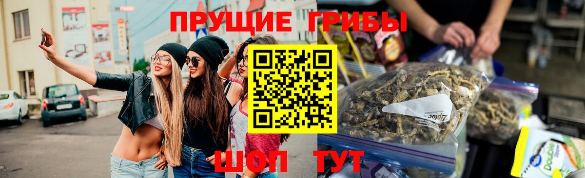 Псилоцибиновые грибы мухоморы Благовещенск